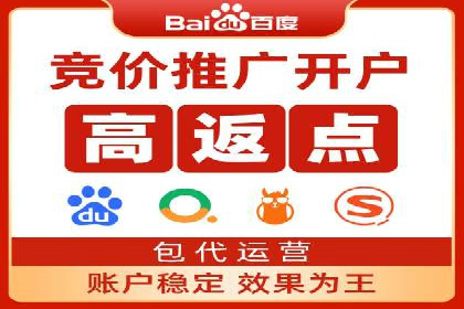 百度竞价托管外包案例：打造行业领军品牌